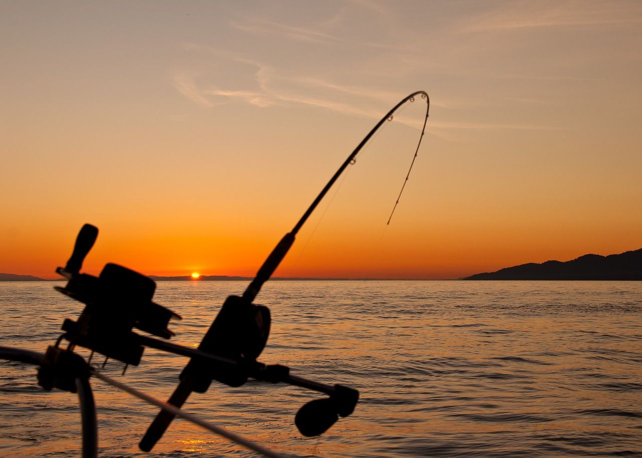 Wędkarstwo – o czym powinien pamiętać początkujący